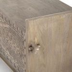Product Image 1 for Columbus Trunk from Four Hands