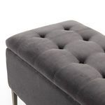 Product Image 5 for Rennie Trunk from Four Hands