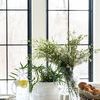Product Image 2 for Apiary Mason Jar, Large from etúHOME