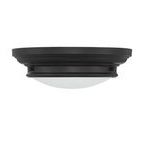 Product Image 7 for Cassidy 2 Light Flush Mount from Savoy House 