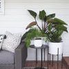 Product Image 10 for Douglas End Table from Four Hands