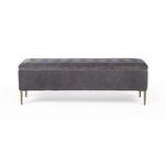 Product Image 8 for Rennie Trunk from Four Hands
