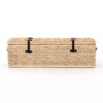 Product Image 12 for Ember Trunk from Four Hands