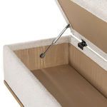 Product Image 11 for Navi Trunk from Four Hands