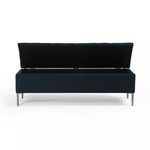 Product Image 9 for Rennie Trunk from Four Hands