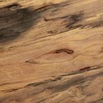 Product Image 9 for Hudson Coffee Table - Spalted Primavera from Four Hands